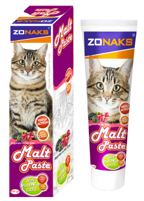 ZONAKS MALT PASTE BÖĞÜRTLEN VE NAR ÖZLÜ 100 GR 12'Lİ - 1